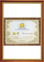 銅獎(jiǎng)